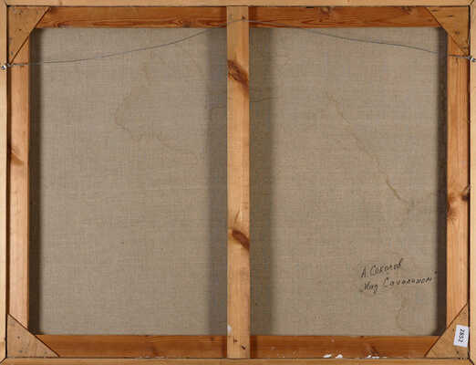 Соколов Андрей Константинович. Над Сахалином